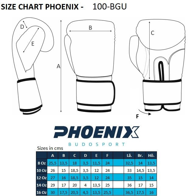 PX Boxhandschuhe  schwarz-grau  Leder 10oz