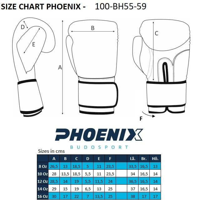 PX PX Boxhandschuhe schwarz-weiß  Leder 10 Oz