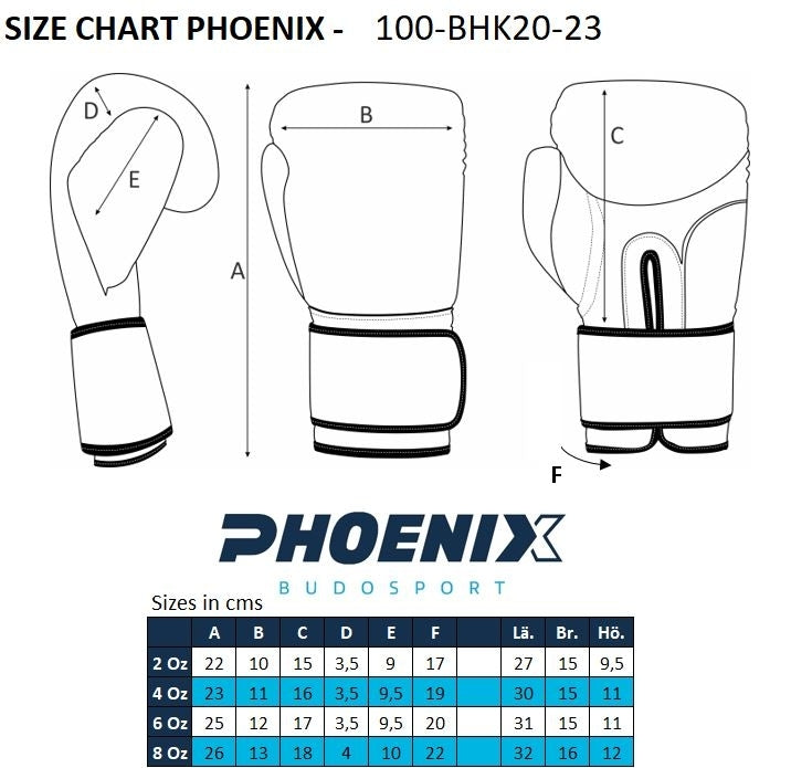 PX Kids Glove Boxhandschuh s/w 8oz