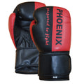PX Boxhandschuh "Prepared to Fight" PU s/R 10oz