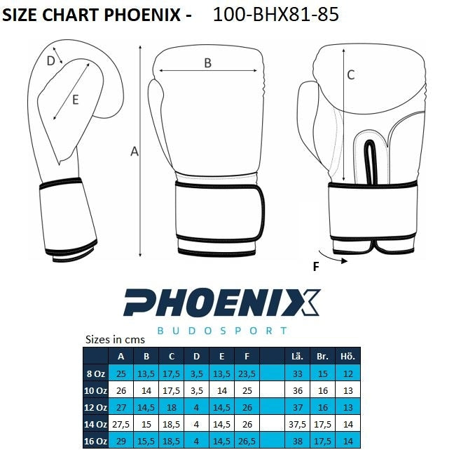 PX LEGACY 2 Boxhandschuhe, Kunstleder, stone, 16oz