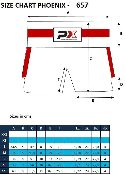 PX LEGACY MMA Shorts schwarz S